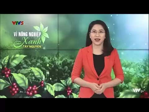 TRƯỜNG SINH GROUP - THƯƠNG HIỆU XANH VÌ SỨC KHỎE CỘNG ĐỒNG