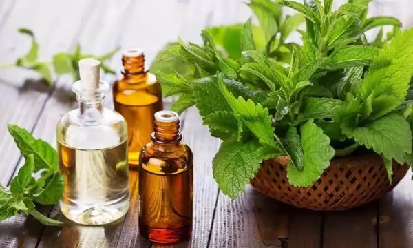 CHỮA HO CHO TRẺ BẰNG THẢO DƯỢC TRỊ HO CÓ SẴN QUANH NHÀ