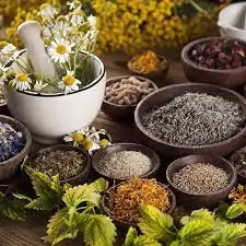 SỬ DỤNG THẢO DƯỢC ĐỂ CHĂM SÓC SỨC KHỎE ĐANG LÀ XU THẾ RẤT ĐƯỢC QUAN TÂM