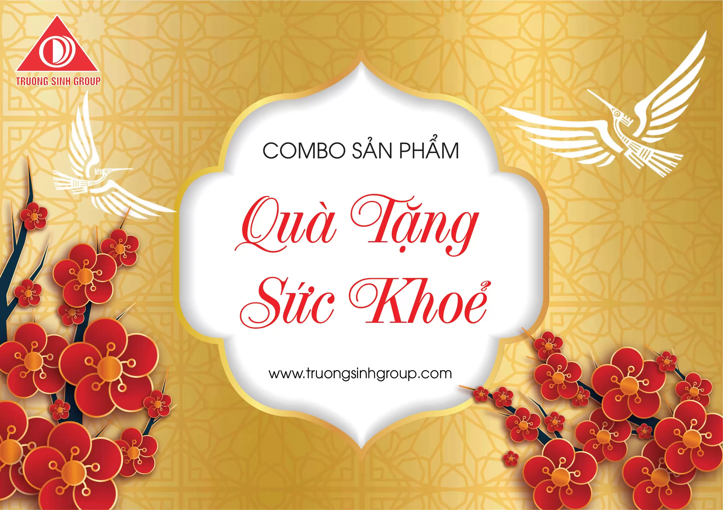 TRƯỜNG SINH GROUP RA MẮT COMBO QUÀ TẾT CHÀO XUÂN QUÝ MÃO 2023