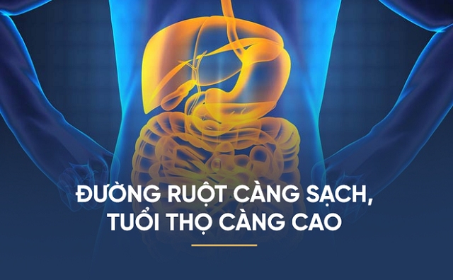CÁCH ĐƠN GIẢN CHO HỆ TIÊU HÓA LUÔN KHỎE MÀ AI CŨNG LÀM ĐƯỢC 