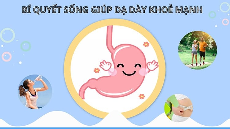 CHÌA KHÓA VÀNG DÀNH CHO DẠ DÀY KHỎE MẠNH 