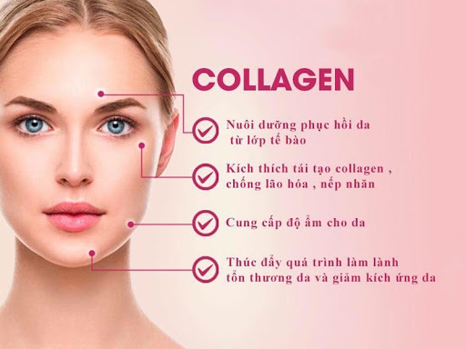 COLLAGEN LÀ GÌ MÀ CÁC CHỊ EM MÊ ĐẾN NHƯ VẬY?