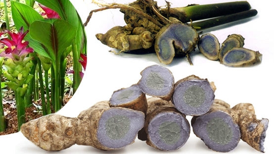 CÁCH CHỮA ĐAU DẠ DÀY BẰNG NGHỆ ĐEN 