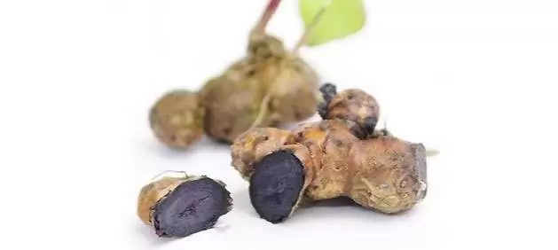Nghệ đen