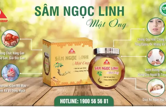 KHÔNG NGỜ ĐẾN NHỮNG CÔNG DỤNG THẦN KỲ CỦA SÂM NGỌC LINH NGÂM MẬT ONG 