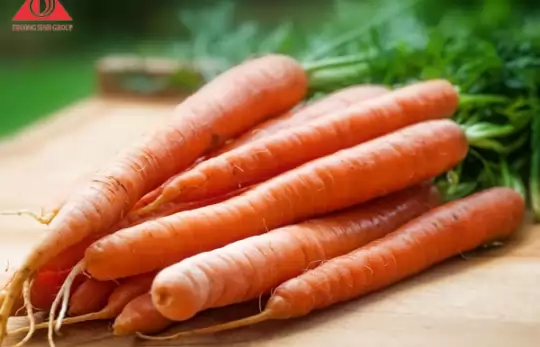 CÁC LOẠI THỰC PHẨM GIÚP TĂNG SỨC ĐỀ KHÁNG