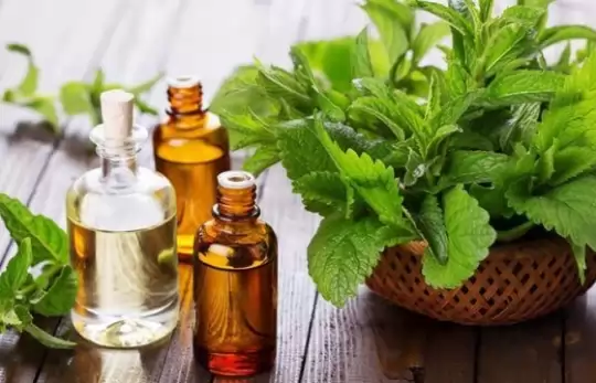 CHỮA HO CHO TRẺ BẰNG THẢO DƯỢC TRỊ HO CÓ SẴN QUANH NHÀ