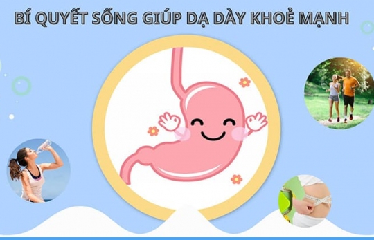CHÌA KHÓA VÀNG DÀNH CHO DẠ DÀY KHỎE MẠNH 