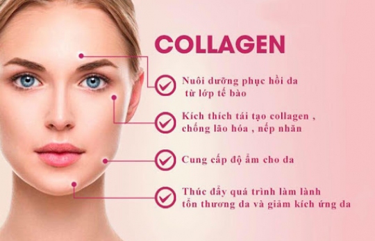 COLLAGEN LÀ GÌ MÀ CÁC CHỊ EM MÊ ĐẾN NHƯ VẬY?