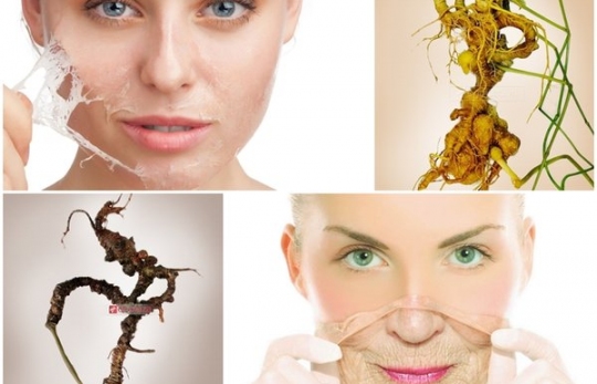 BẬT MÍ CÁCH SỬ DỤNG SÂM NGỌC LINH ĐỂ LÀN DA LUÔN TRẮNG HỒNG RẠNG NGỜI 